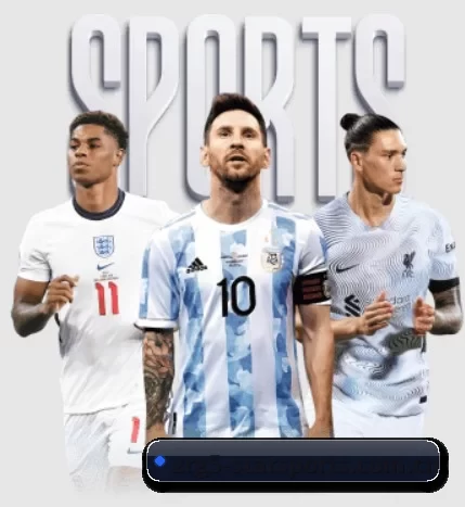 五大服务分区,信息按项目分类